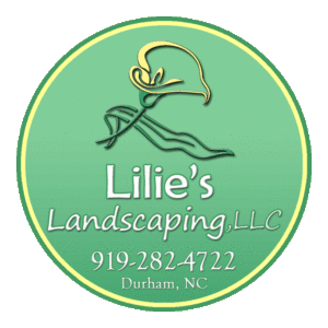 Lilies Landscaping